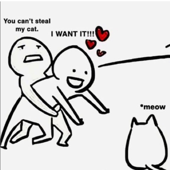 Meet your Posher, Lisa - Picture 8 of 13